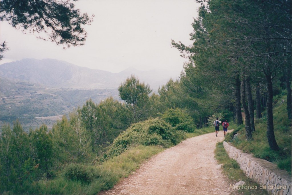 Camino de La Font dels Teixos, a la izquierda queda El Cocoll en la Sierra del Carrascal de Parcent